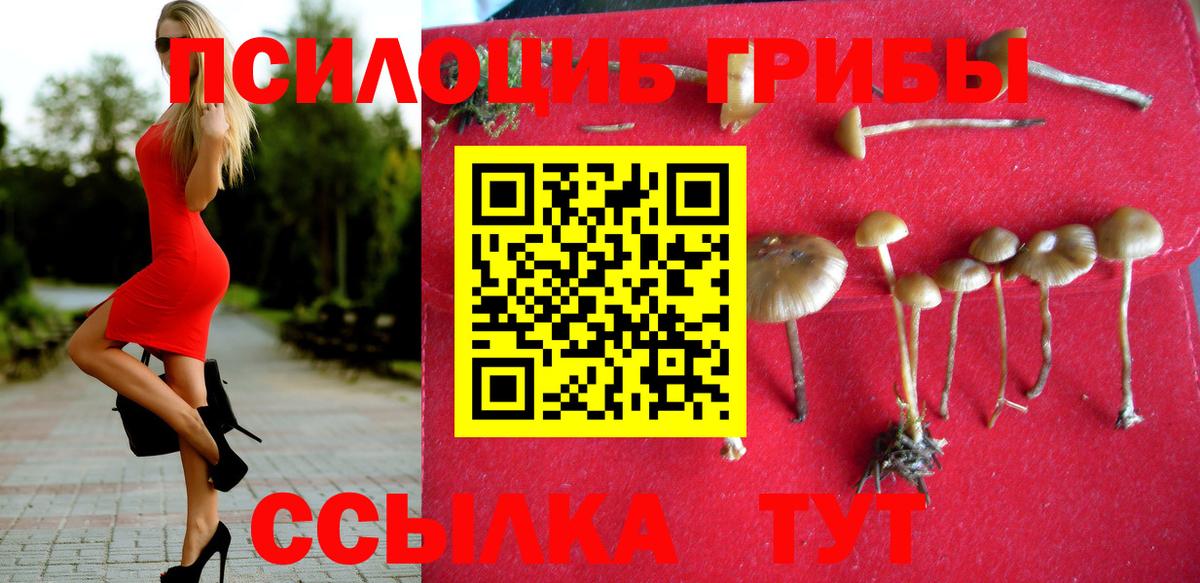 Псилоцибиновые грибы Psilocybe  Вход с VPN  Нальчик 